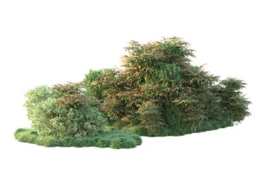 Beyaz üzerine izole edilmiş yeşil ağaçlar, kopyalama alanı için arkaplan