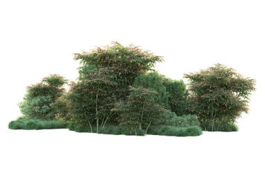 Beyaz üzerine izole edilmiş yeşil ağaçlar, kopyalama alanı için arkaplan