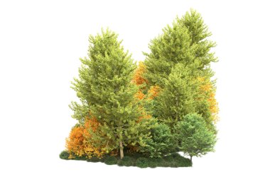 Sonbahar mevsimi ağaçları beyazda izole edilmiş, kopyalama alanı için arkaplan