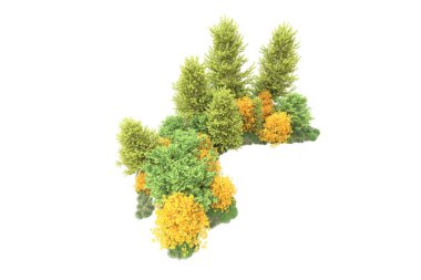 Beyaz üzerine izole ahşap ağaçlar, kopyalama alanı için arkaplan