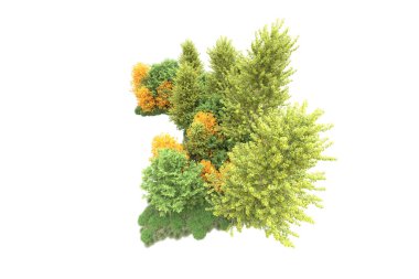 Beyaz üzerine izole ahşap ağaçlar, kopyalama alanı için arkaplan