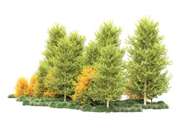 Beyaz üzerine izole ahşap ağaçlar, kopyalama alanı için arkaplan