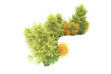 Beyaz üzerine izole ahşap ağaçlar, kopyalama alanı için arkaplan