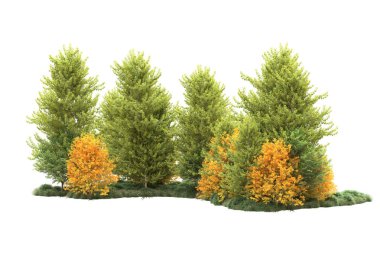 Beyaz üzerine izole ahşap ağaçlar, kopyalama alanı için arkaplan