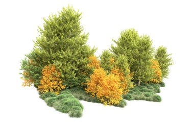 Beyaz üzerine izole ahşap ağaçlar, kopyalama alanı için arkaplan