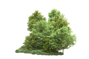 Beyaz üzerine izole ahşap ağaçlar, kopyalama alanı için arkaplan