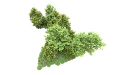 Beyaz üzerine izole ahşap ağaçlar, kopyalama alanı için arkaplan