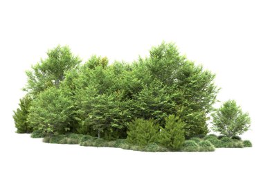 Beyaz üzerine izole ahşap ağaçlar, kopyalama alanı için arkaplan