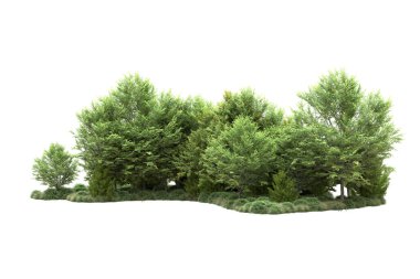 gerçekçi yeşil yaz ağaçları kopyalama alanı için beyaz arkaplan üzerinde izole