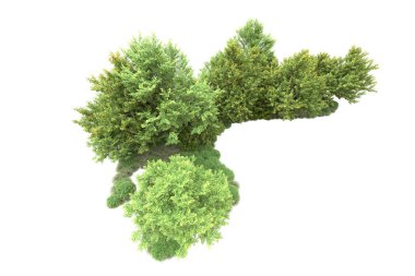 gerçekçi yeşil yaz ağaçları kopyalama alanı için beyaz arkaplan üzerinde izole