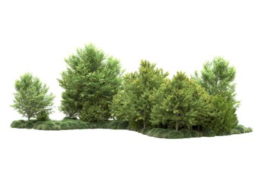 gerçekçi yeşil yaz ağaçları kopyalama alanı için beyaz arkaplan üzerinde izole