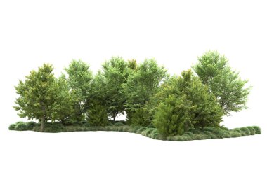 gerçekçi yeşil yaz ağaçları kopyalama alanı için beyaz arkaplan üzerinde izole