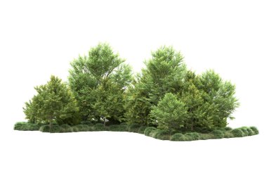 Orman ıssız. Görüntü pankartlar, posterler ya da fotoğraf manipülasyonları için kullanışlı. 3d görüntüleme - illüstrasyon