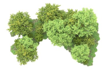 Orman ıssız. Görüntü pankartlar, posterler ya da fotoğraf manipülasyonları için kullanışlı. 3d görüntüleme - illüstrasyon