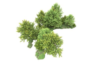 Orman ıssız. Görüntü pankartlar, posterler ya da fotoğraf manipülasyonları için kullanışlı. 3d görüntüleme - illüstrasyon