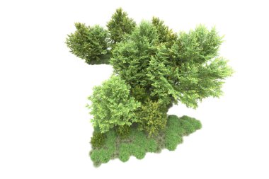 Orman ıssız. Görüntü pankartlar, posterler ya da fotoğraf manipülasyonları için kullanışlı. 3d görüntüleme - illüstrasyon