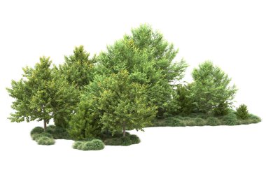 Orman ıssız. Görüntü pankartlar, posterler ya da fotoğraf manipülasyonları için kullanışlı. 3d görüntüleme - illüstrasyon