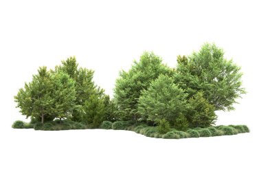 Orman ıssız. Görüntü pankartlar, posterler ya da fotoğraf manipülasyonları için kullanışlı. 3d görüntüleme - illüstrasyon