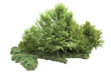 Orman ıssız. Görüntü pankartlar, posterler ya da fotoğraf manipülasyonları için kullanışlı. 3d görüntüleme - illüstrasyon