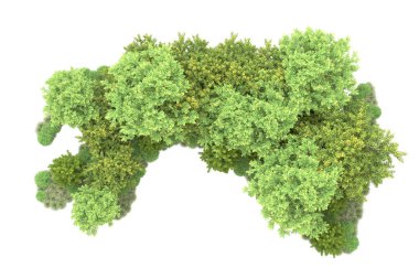 Orman ıssız. Görüntü pankartlar, posterler ya da fotoğraf manipülasyonları için kullanışlı. 3d görüntüleme - illüstrasyon