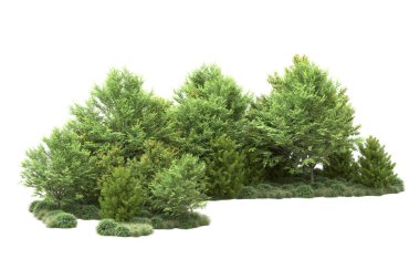 Orman ıssız. Görüntü pankartlar, posterler ya da fotoğraf manipülasyonları için kullanışlı. 3d görüntüleme - illüstrasyon