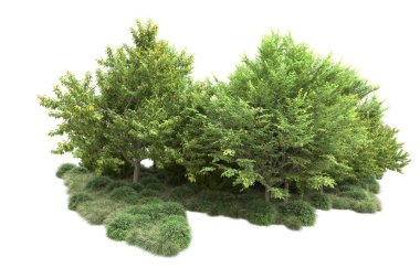 Orman ıssız. Görüntü pankartlar, posterler ya da fotoğraf manipülasyonları için kullanışlı. 3d görüntüleme - illüstrasyon