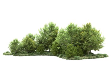 Orman ıssız. Görüntü pankartlar, posterler ya da fotoğraf manipülasyonları için kullanışlı. 3d görüntüleme - illüstrasyon