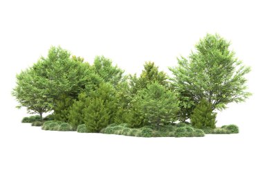 Orman ıssız. Görüntü pankartlar, posterler ya da fotoğraf manipülasyonları için kullanışlı. 3d görüntüleme - illüstrasyon