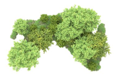 Orman ıssız. Görüntü pankartlar, posterler ya da fotoğraf manipülasyonları için kullanışlı. 3d görüntüleme - illüstrasyon