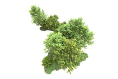 Orman ıssız. Görüntü pankartlar, posterler ya da fotoğraf manipülasyonları için kullanışlı. 3d görüntüleme - illüstrasyon