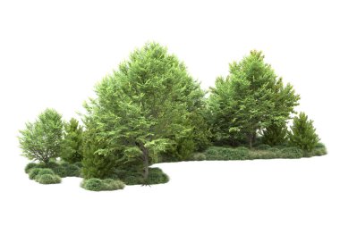 Orman ıssız. Görüntü pankartlar, posterler ya da fotoğraf manipülasyonları için kullanışlı. 3d görüntüleme - illüstrasyon