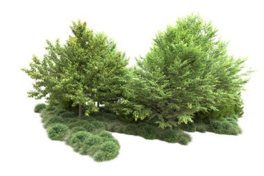 Orman ıssız. Görüntü pankartlar, posterler ya da fotoğraf manipülasyonları için kullanışlı. 3d görüntüleme - illüstrasyon