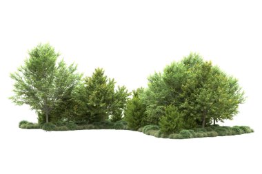 Orman ıssız. Görüntü pankartlar, posterler ya da fotoğraf manipülasyonları için kullanışlı. 3d görüntüleme - illüstrasyon