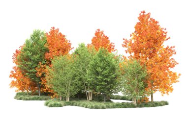 Orman ıssız. Görüntü pankartlar, posterler ya da fotoğraf manipülasyonları için kullanışlı. 3d görüntüleme - illüstrasyon