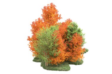 Orman ıssız. Görüntü pankartlar, posterler ya da fotoğraf manipülasyonları için kullanışlı. 3d görüntüleme - illüstrasyon