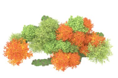 Orman ıssız. Görüntü pankartlar, posterler ya da fotoğraf manipülasyonları için kullanışlı. 3d görüntüleme - illüstrasyon