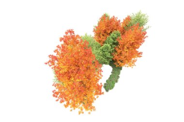 Orman ıssız. Görüntü pankartlar, posterler ya da fotoğraf manipülasyonları için kullanışlı. 3d görüntüleme - illüstrasyon