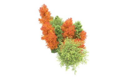 Orman ıssız. Görüntü pankartlar, posterler ya da fotoğraf manipülasyonları için kullanışlı. 3d görüntüleme - illüstrasyon