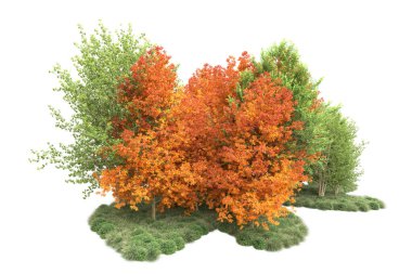 Orman ıssız. Görüntü pankartlar, posterler ya da fotoğraf manipülasyonları için kullanışlı. 3d görüntüleme - illüstrasyon