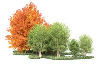 Orman ıssız. Görüntü pankartlar, posterler ya da fotoğraf manipülasyonları için kullanışlı. 3d görüntüleme - illüstrasyon