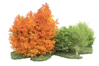 Orman ıssız. Görüntü pankartlar, posterler ya da fotoğraf manipülasyonları için kullanışlı. 3d görüntüleme - illüstrasyon