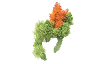 Orman ıssız. Görüntü pankartlar, posterler ya da fotoğraf manipülasyonları için kullanışlı. 3d görüntüleme - illüstrasyon