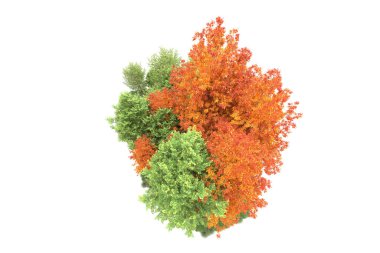 Orman ıssız. Görüntü pankartlar, posterler ya da fotoğraf manipülasyonları için kullanışlı. 3d görüntüleme - illüstrasyon