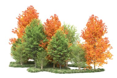 Orman ıssız. Görüntü pankartlar, posterler ya da fotoğraf manipülasyonları için kullanışlı. 3d görüntüleme - illüstrasyon