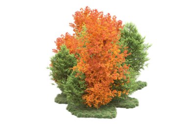 Orman ıssız. Görüntü pankartlar, posterler ya da fotoğraf manipülasyonları için kullanışlı. 3d görüntüleme - illüstrasyon