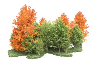 Orman ıssız. Görüntü pankartlar, posterler ya da fotoğraf manipülasyonları için kullanışlı. 3d görüntüleme - illüstrasyon