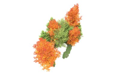 Orman ıssız. Görüntü pankartlar, posterler ya da fotoğraf manipülasyonları için kullanışlı. 3d görüntüleme - illüstrasyon