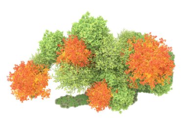 Orman ıssız. Görüntü pankartlar, posterler ya da fotoğraf manipülasyonları için kullanışlı. 3d görüntüleme - illüstrasyon