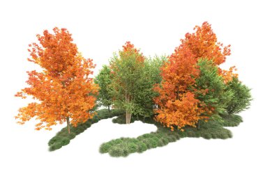 Orman ıssız. Görüntü pankartlar, posterler ya da fotoğraf manipülasyonları için kullanışlı. 3d görüntüleme - illüstrasyon