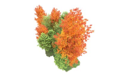 Orman ıssız. Görüntü pankartlar, posterler ya da fotoğraf manipülasyonları için kullanışlı. 3d görüntüleme - illüstrasyon